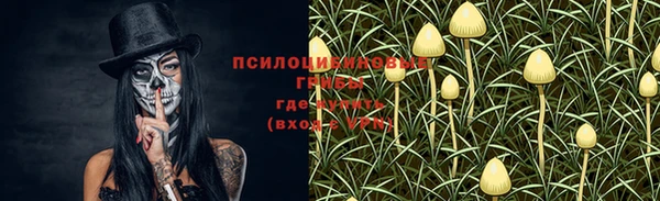 твердый Лиски