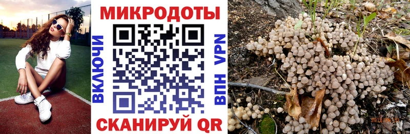 Купить закладки  Нефтеюганск  Псилоцибиновые грибы Cubensis 