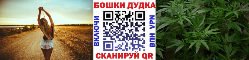 Купить  Нефтеюганск  Каннабис SATIVA & INDICA 